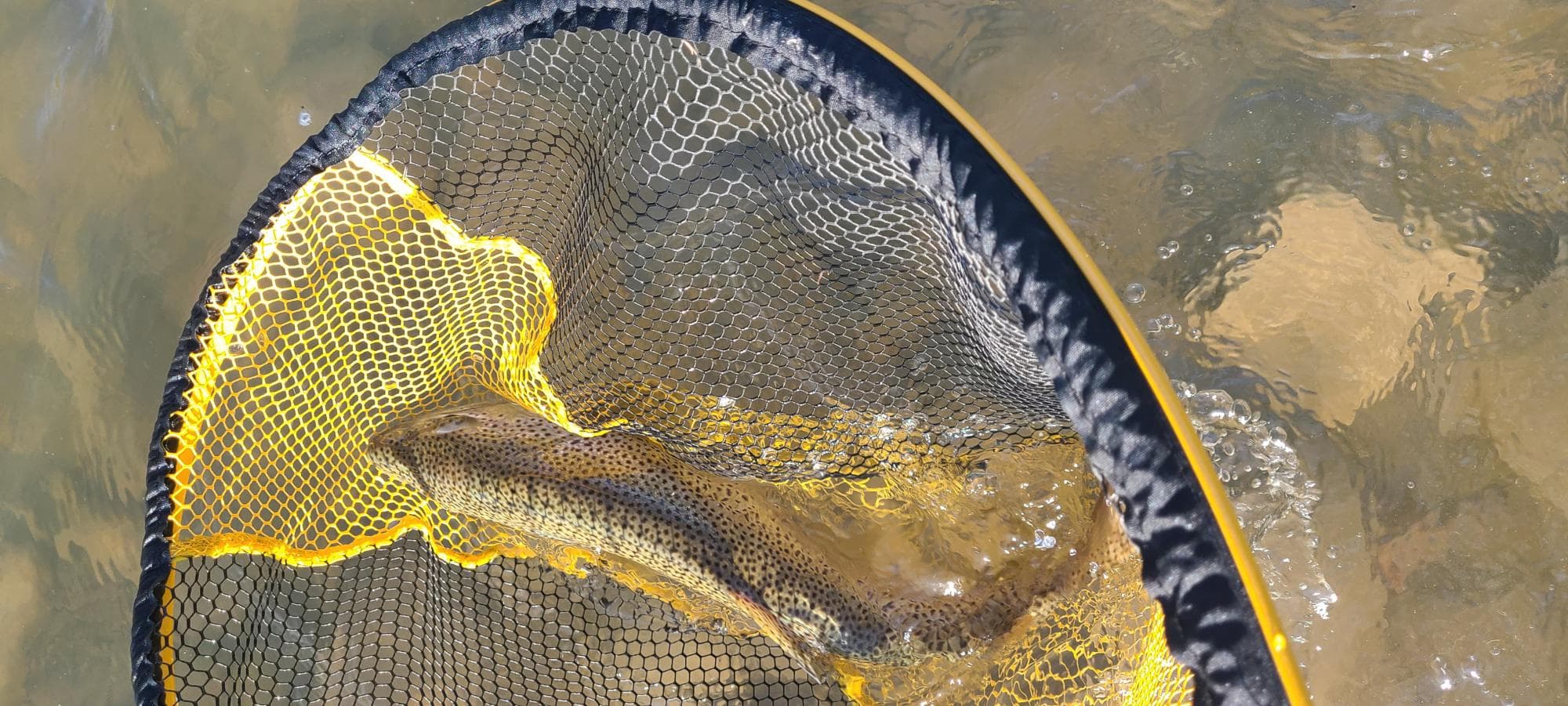 Beaverhead River Offers Anglers Refuge in the Heat