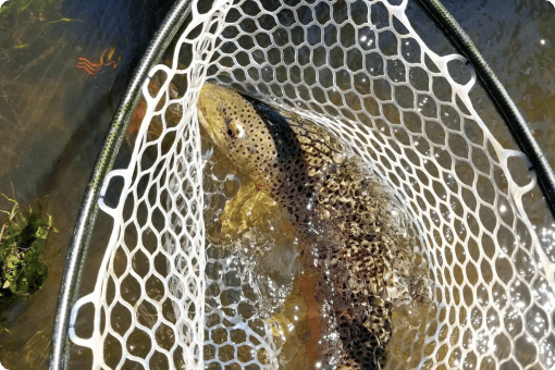 Why You Should Consider a Spring Big Hole River Fly Fishing Trip